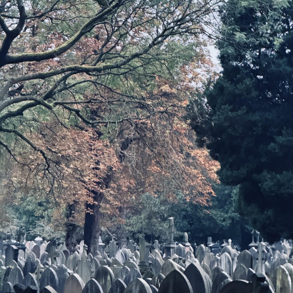 Life and death.