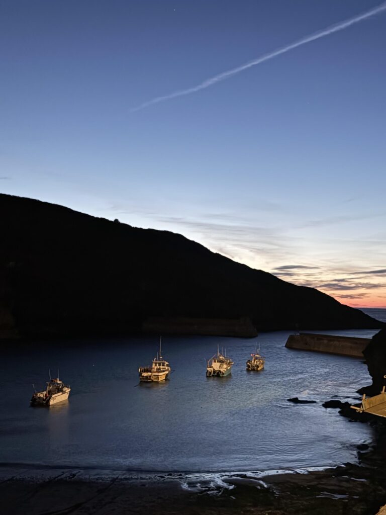 Night boats.