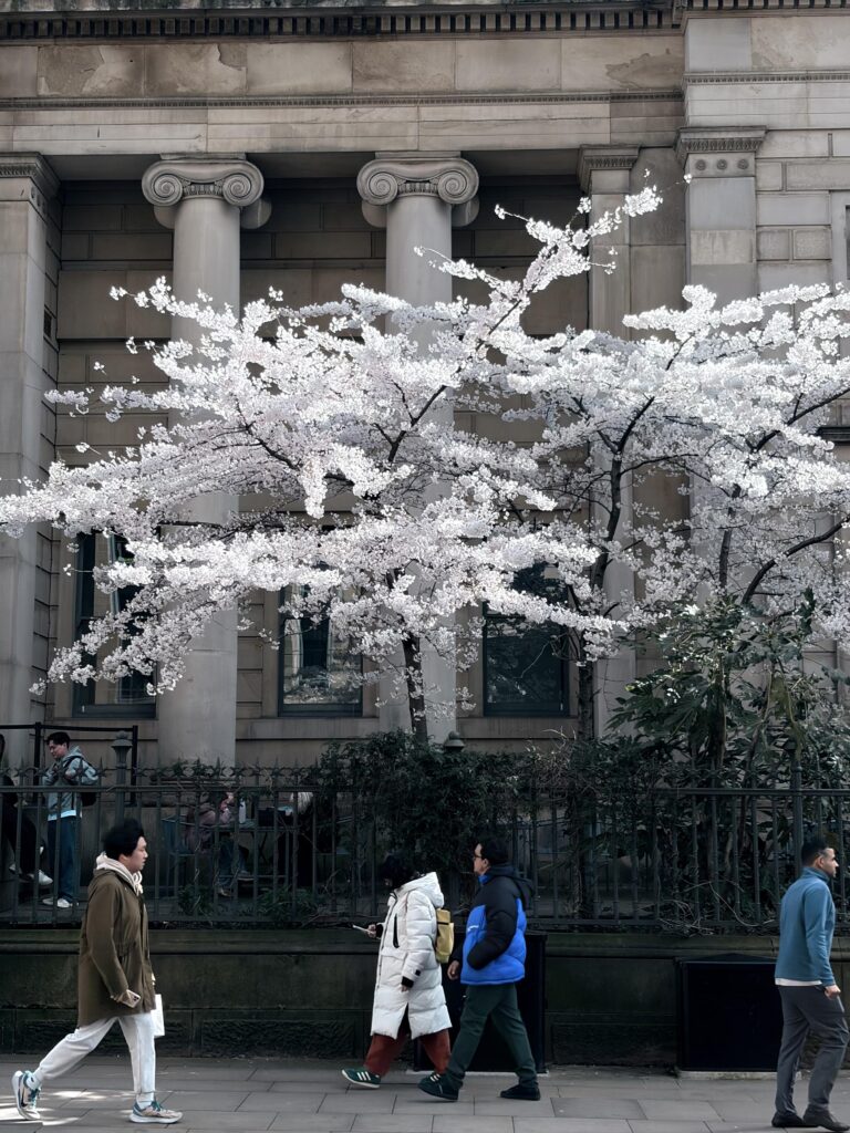 Mono cherry.